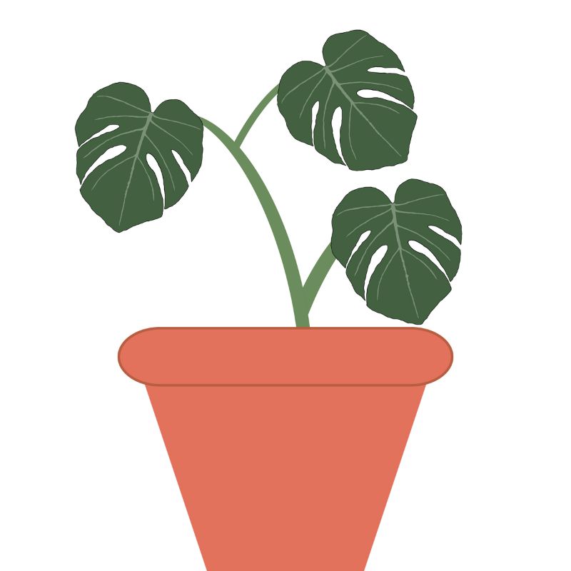 Cheese plant design
