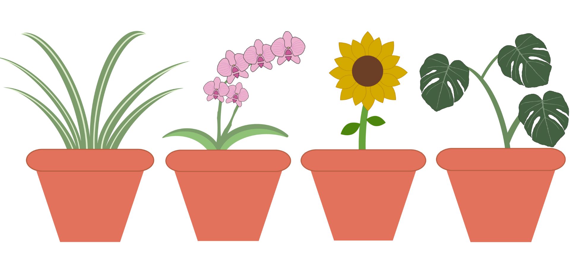 Plant collection design