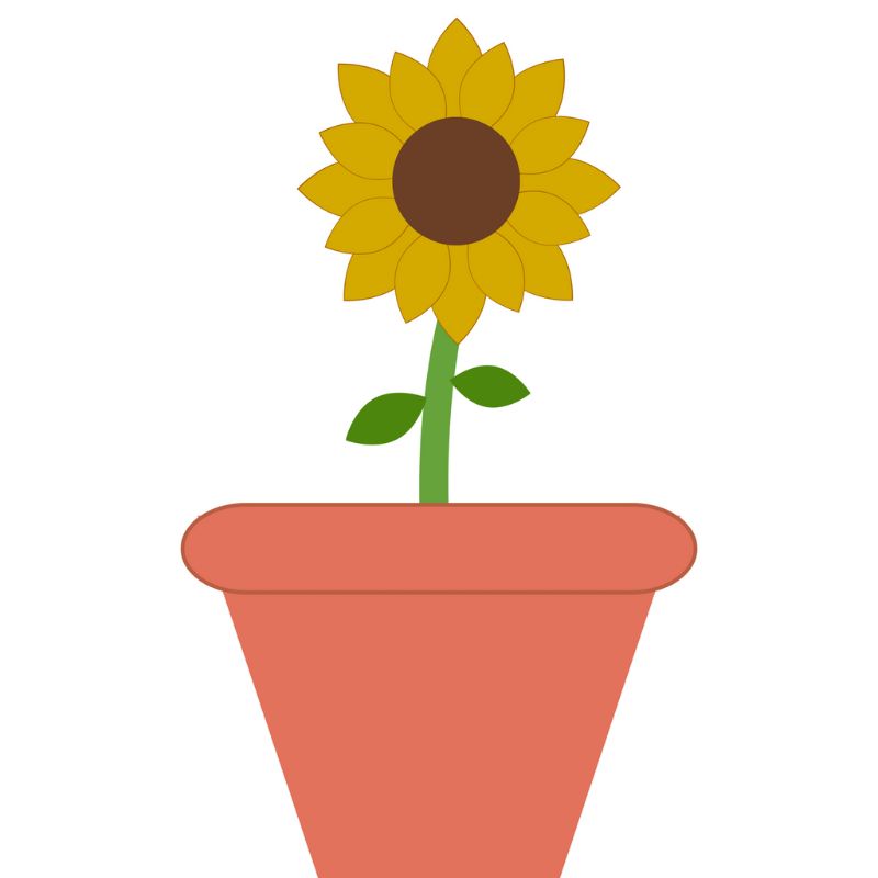 Sunflower plant design